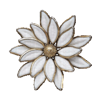 Gif animé bijoux broche